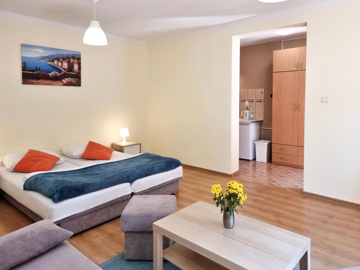 Przy Parku Zdrojowym - Darmowy Parking Apartment *